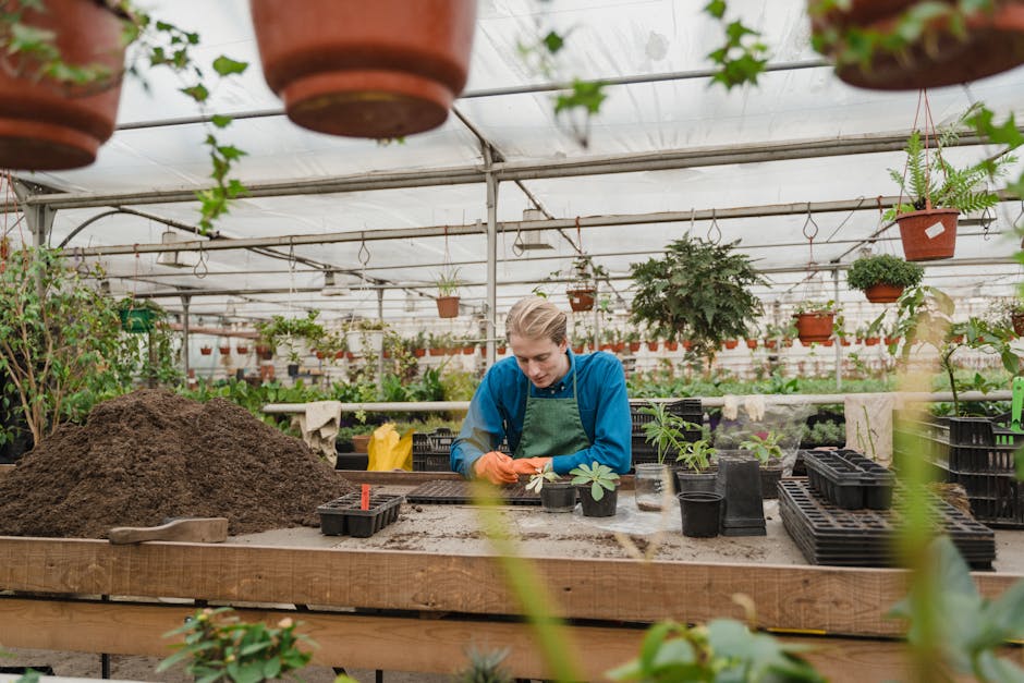 A gardener works in a greenhouse, potting plants with tools and soil.