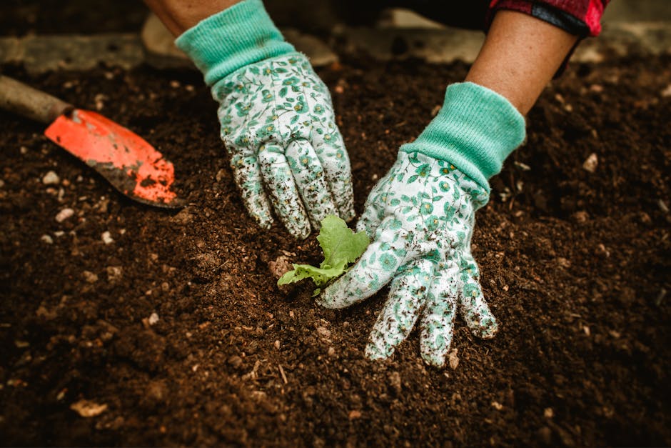 Close-up of hands in gloves planting a seedling in garden soil with a trowel nearby.