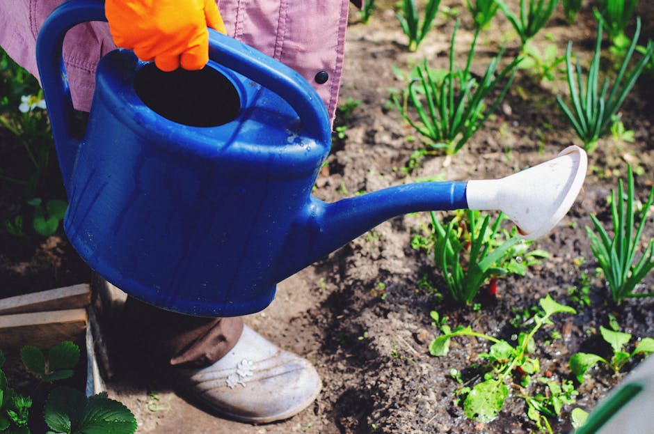 A person using a blue watering can to water plants in a garden, nurturing growth.